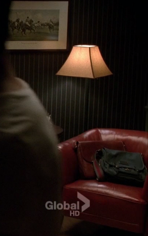 File:LOOK AT THEIR BAGS.png