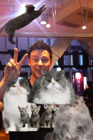 File:CoryCat.jpg