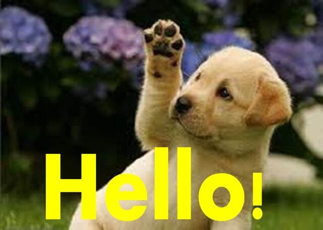 File:Hello Peeps.jpg