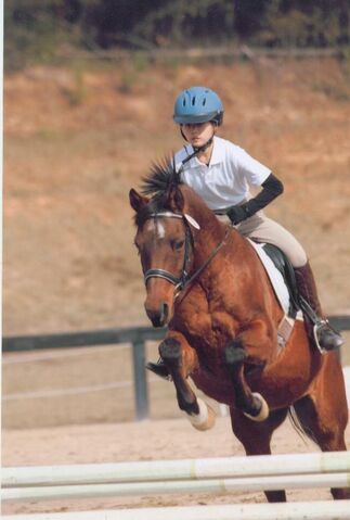 File:Cavalia.jpg