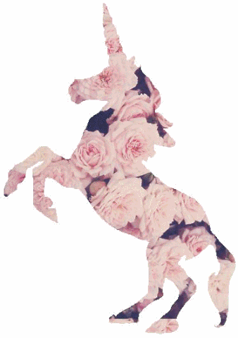 File:Illustration-unicorn-Favim.com-231866.gif