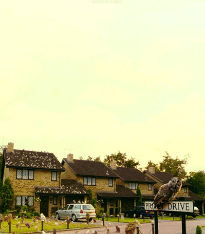 File:Tumblr lmr03qcP3N1qhr5x2o1 500.gif