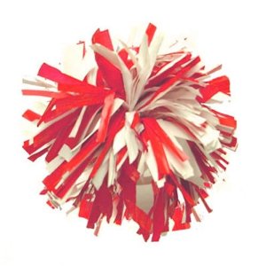 File:Pom pom.jpg