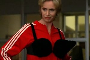 File:20100217-glee.jpg