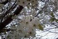 Thumbnail for version as of 15:32, March 26, 2011