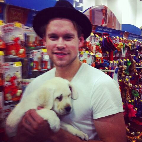 File:Chordwithpuppy.jpg