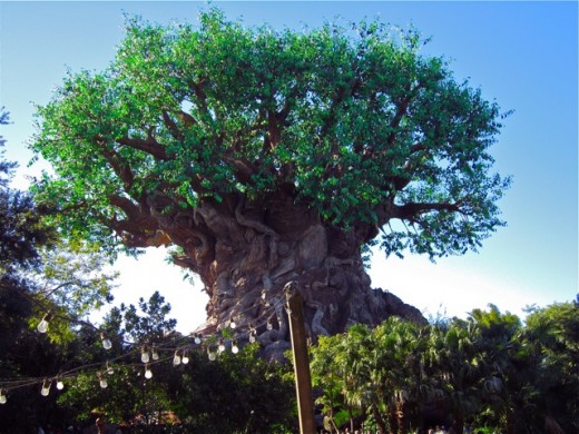 File:Disney's Animal Kingdom.jpg