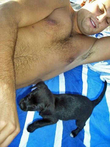 File:Dave a puppy.jpg