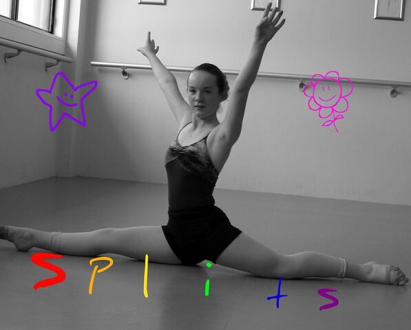 File:Splits.jpg