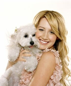 Ashley-tisdale-and-her-dog