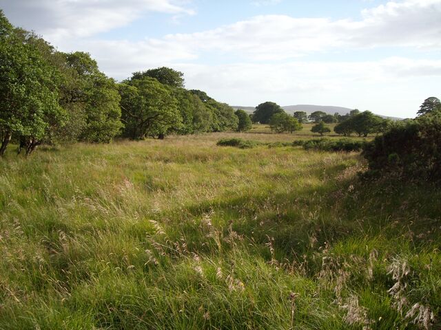 File:Grasslands2.jpg