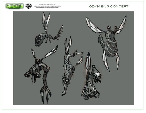 Plik:Odym Bug1.jpg