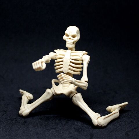 File:Bone Titan Power Slide.jpg