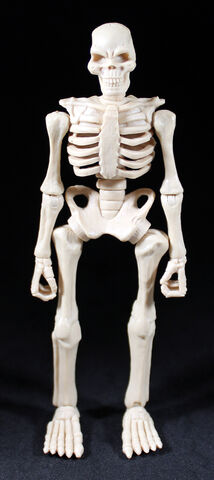 File:BoneTitan.jpg