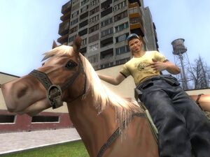 Grabbin a Horse!