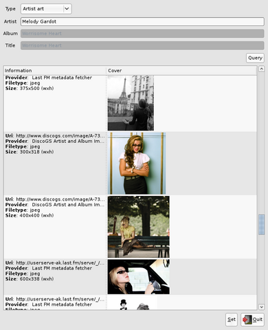 File:Gmpc-0.18.1-metaselector.png