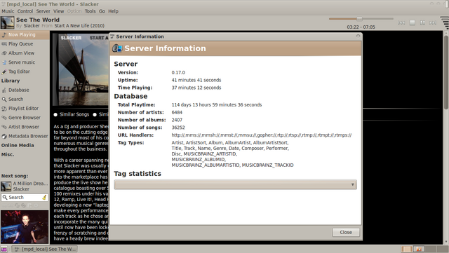 File:Server-information.png