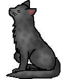 RandomNeko