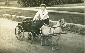 GoatCart
