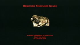 Shoulder Guard-1