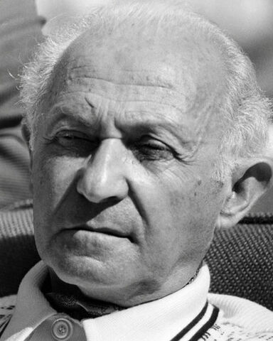 File:Hyman Roth.jpg
