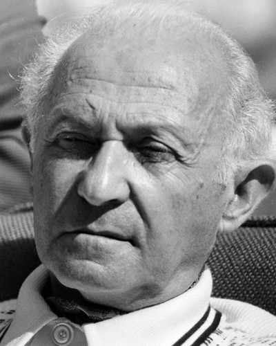 Hyman Roth | The Godfather Wiki | Fandom powered by Wikia