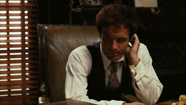 File:Vlcsnap-2010-12-30-22h02m13s151.png