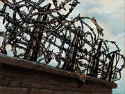 Troop barbedwire
