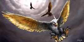 Águila.jpg
