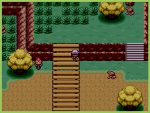 Route 3