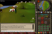 Cow farm