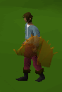 Lavashield