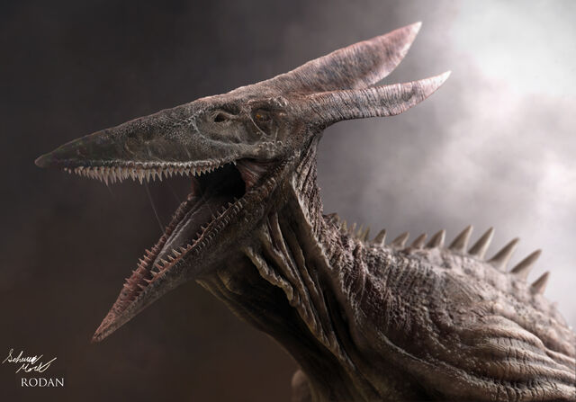 Archivo:RODAN 2018.jpg