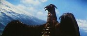 Rodan68