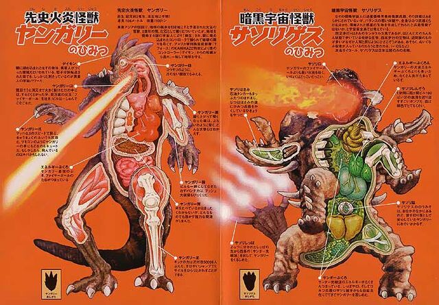 File:Yo vary anantomyimage.jpeg