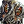 Resized Image