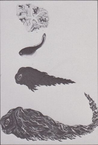 File:Hedorah Evolution Concept Art.jpg
