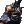 Resized Image