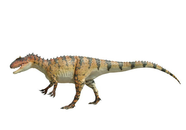 File:Allosaurus0002.jpg