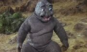 Minilla.jpg