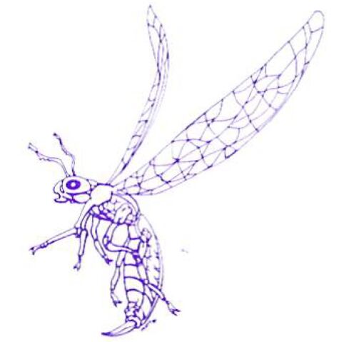 File:Sphectra MMG.jpg