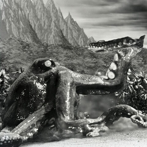 File:Giant Octopus 0.jpg
