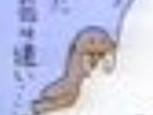 File:Godzilland maguma.png