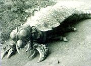 Meganuron2.jpg