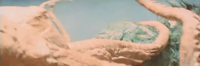 File:Gaira vs. Daidako 4.png