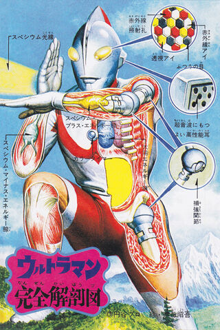 File:Ultraman anatomyimage.jpeg