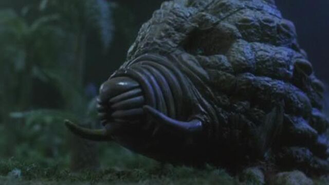 File:Primitive Mothra 2.jpg