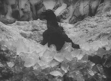 Eisgrab.png