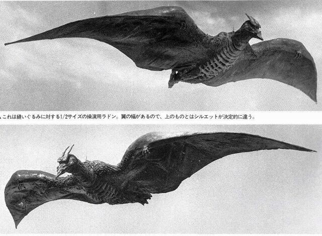 File:ShodaiRado flying.jpg