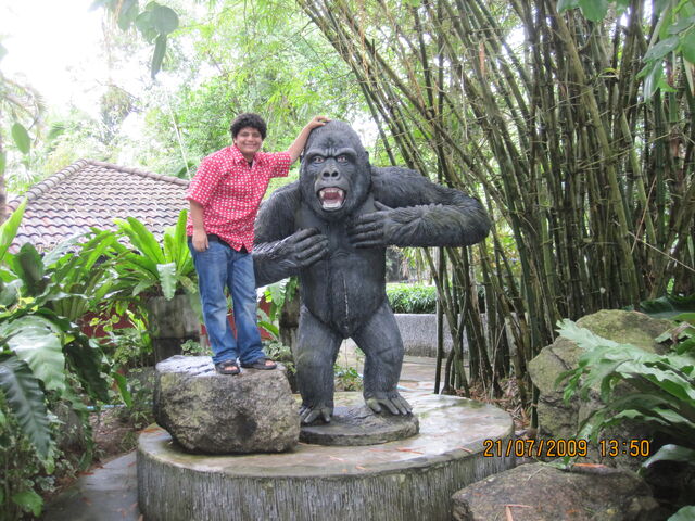 File:IMG 0188.jpg